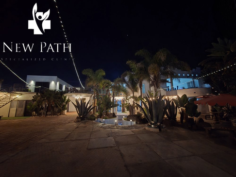 Slider image (2) New Path Ibogaine